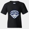 Youth Heavy Cotton™ T-Shirt Thumbnail