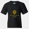 Youth Heavy Cotton™ T-Shirt Thumbnail