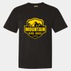 Unisex Garment-Dyed Heavyweight T-Shirt Thumbnail
