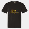 Unisex Garment-Dyed Heavyweight T-Shirt Thumbnail