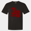 Unisex Garment-Dyed Heavyweight T-Shirt Thumbnail