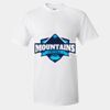 Unisex Ultra Cotton® T-Shirt Thumbnail