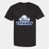 Unisex Heavyweight Cotton Tee Thumbnail