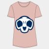 Women's Softstyle® CVC T-Shirt Thumbnail